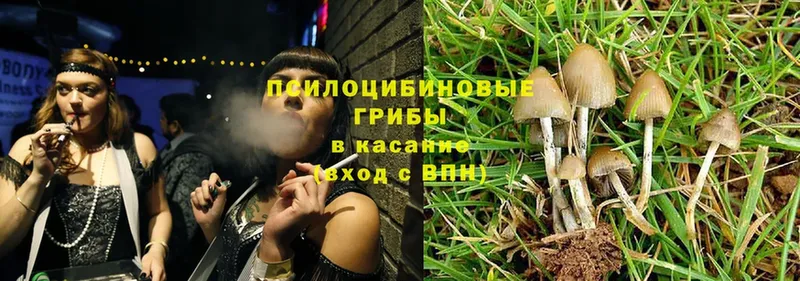 Псилоцибиновые грибы Magic Shrooms  купить  сайты  Калач 